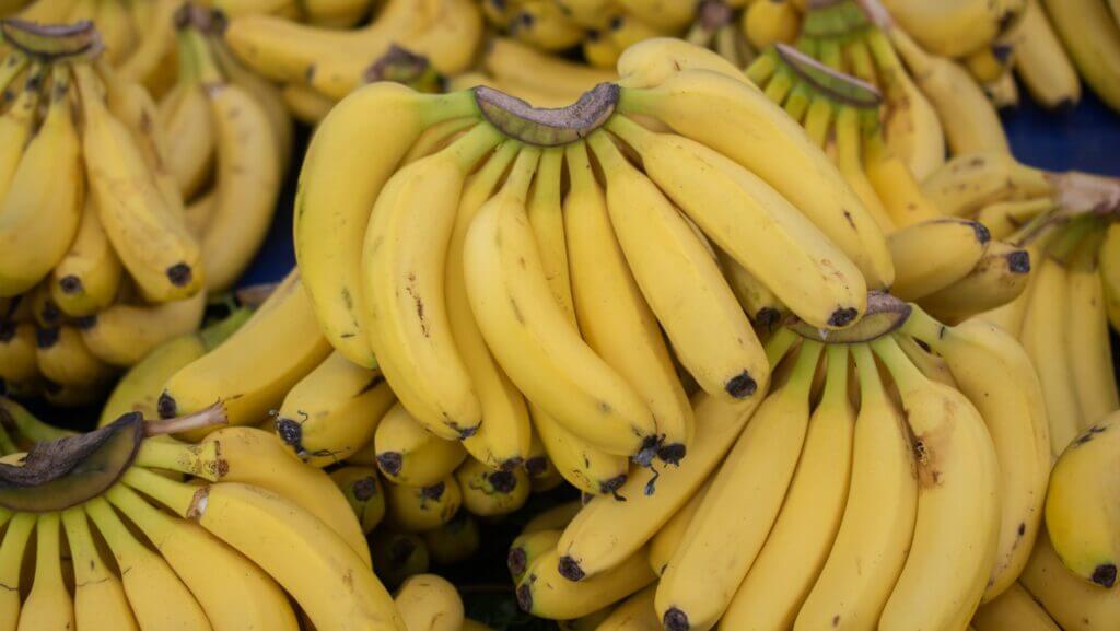 foto com cachos de bananas maduras